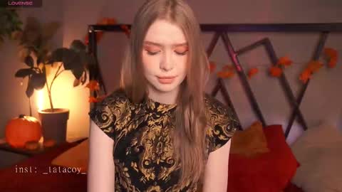 TataCoy online show from November 11, 11:54 am