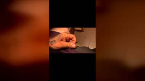 tattedtradie online show from April 24, 9:01 am