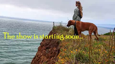 TATUM  ALL MY LINKS  online show from October 23, 10:30 pm