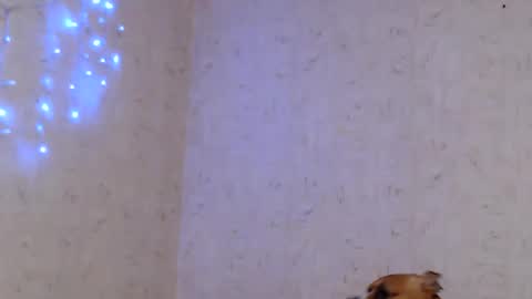 Taya online show from January 9, 9:05 pm