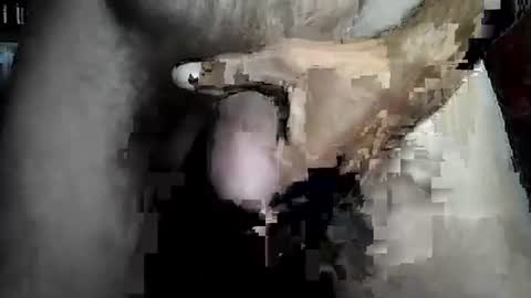 taylor3made online show from February 22, 8:46 am