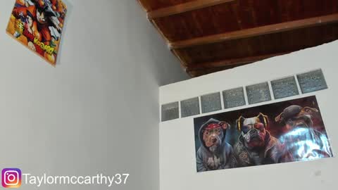 Snapshot of taylor_mccarthy_1 chatting on January 25, 1:32 am Taylor Mccarthy online show from January 25, 1:32 am