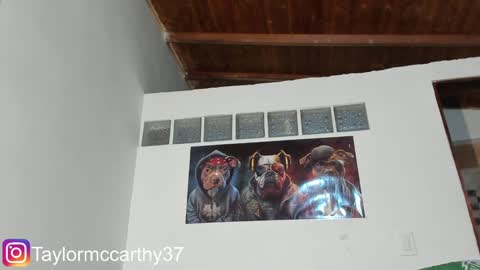 Snapshot of taylor_mccarthy_1 chatting on January 29, 5:09 am Taylor Mccarthy online show from January 29, 5:09 am