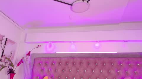 Sofia online show from November 25, 1:33 pm