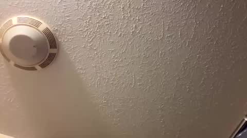 Lilbeebs online show from March 26, 4:45 pm