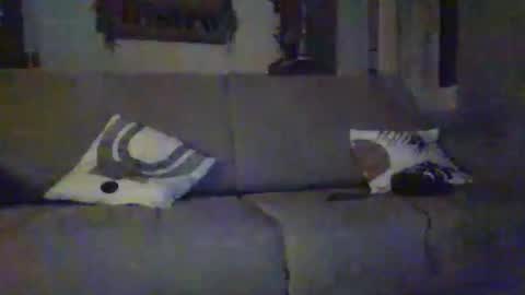 tchoop64 online show from December 21, 8:27 pm