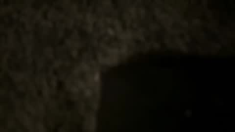 Snapshot of tdnaw chatting on January 12, 4:31 am td 78 online show from January 12, 4:31 am