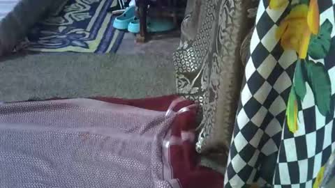 Snapshot of teabody1 chatting on March 8, 8:12 pm teabody1 online show from March 8, 8:12 pm