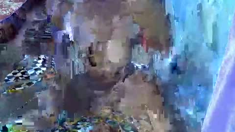 Snapshot of teabody1 chatting on March 23, 6:45 pm teabody1 online show from March 23, 6:45 pm