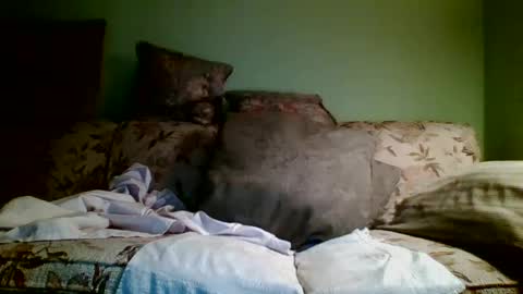 Teak online show from October 19, 12:50 pm