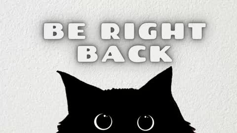 Ted online show from January 5, 7:17 pm