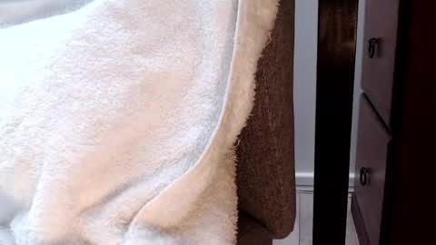 Tedging2 online show from January 16, 7:38 am