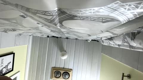 Twizzler online show from February 12, 12:33 pm