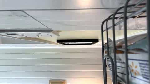 Twizzler online show from October 16, 1:39 am