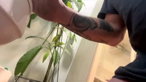 Snapshot of teet69 chatting on March 10, 10:15 pm teet69 online show from March 10, 10:15 pm