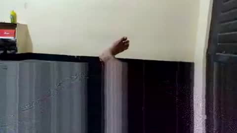 telugu_dick_hyd online show from November 4, 10:53 pm