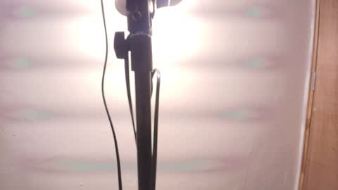 Terra Elowen online show from February 25, 11:31 am