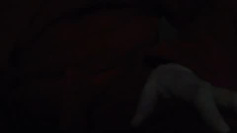 tetuo2 online show from November 17, 5:13 am