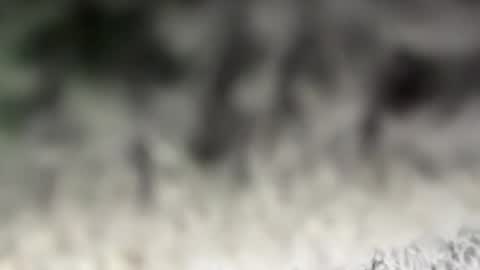 thankyoudaddy1 online show from March 15, 7:36 am