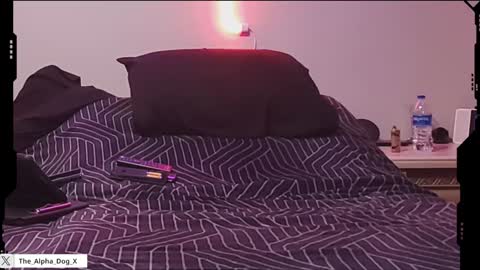 Snapshot of the_alpha_dog_xxx chatting on February 5, 5:20 am the_alpha_dog_xxx online show from February 5, 5:20 am