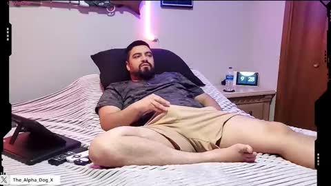 Snapshot of the_alpha_dog_xxx chatting on September 13, 2:28 pm the_alpha_dog_xxx online show from September 13, 2:28 pm