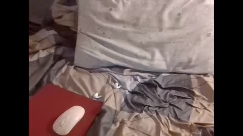 Snapshot of the_borderlands chatting on December 1, 8:52 am the crazy travellers online show from December 1, 8:52 am