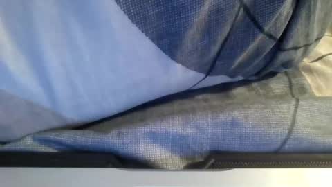 Snapshot of the_borderlands chatting on February 1, 12:48 pm the crazy travellers online show from February 1, 12:48 pm