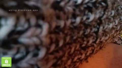 Snapshot of the_real_handjob_couple chatting on February 4, 11:49 am The Real Hanjob Couple online show from February 4, 11:49 am