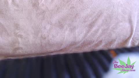 TheBeeJayShow online show from December 4, 1:36 am