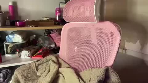 thecontcobracock24cm online show from February 7, 12:42 am