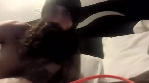 theh4iryfi5h online show from February 21, 12:28 pm