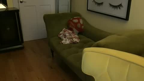 Cach Nelson online show from November 11, 8:36 am