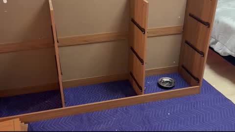 therealdylansdick online show from November 15, 12:41 am