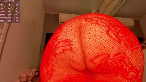 Lexxy online show from November 11, 12:05 pm