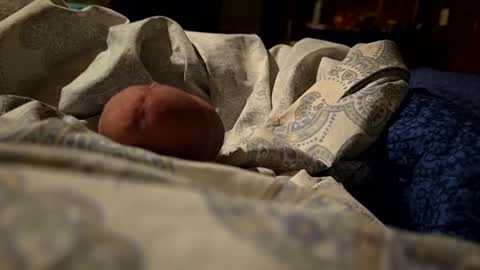 Snapshot of thisloadsforu chatting on February 9, 7:16 am thisloadsforu online show from February 9, 7:16 am