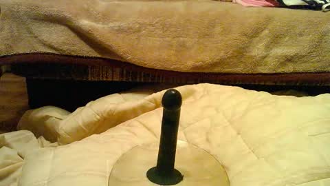 Snapshot of thongsandstockings chatting on December 1, 11:21 pm Thongsandstocking online show from December 1, 11:21 pm