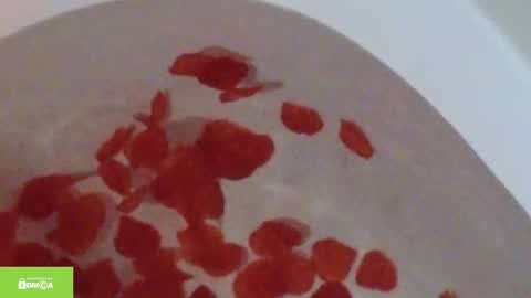 Snapshot of tia_j chatting on October 12, 11:20 am tia_j online show from October 12, 11:20 am