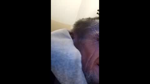 tibed1968836757 online show from February 15, 8:49 pm