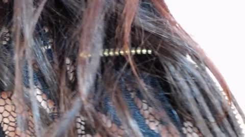 Snapshot of tinakay1 chatting on December 17, 12:11 pm tinakay1 online show from December 17, 12:11 pm