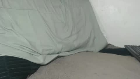 Tina online show from April 14, 2:50 am