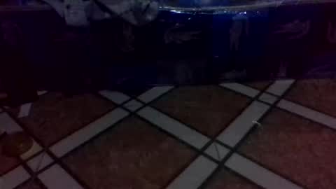 tino1roy online show from March 24, 7:13 am