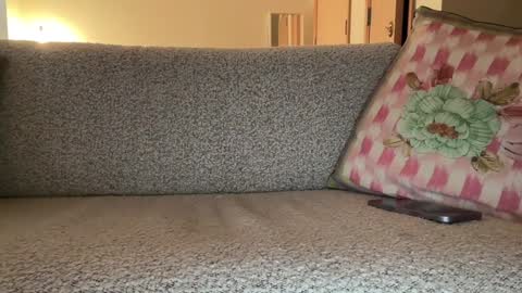 Snapshot of tinycasual chatting on December 6, 9:24 pm Tea online show from December 6, 9:24 pm