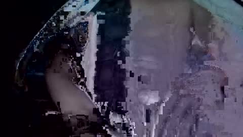 tjay30529 online show from November 25, 8:14 am