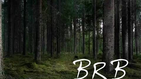 Snapshot of tmosmun chatting on November 2, 7:16 pm Tim online show from November 2, 7:16 pm