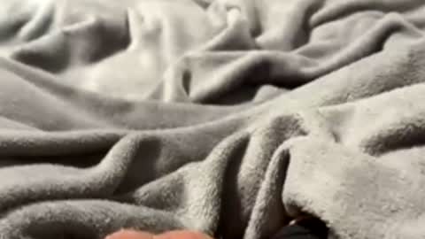 Snapshot of tmue chatting on February 27, 1:33 pm tmue online show from February 27, 1:33 pm