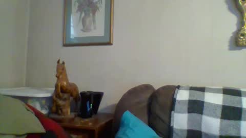 Vols online show from November 12, 9:58 pm