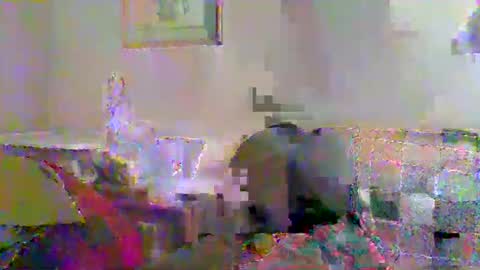 Vols online show from November 23, 12:54 am