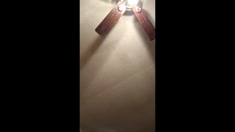 Vols online show from December 17, 1:44 am