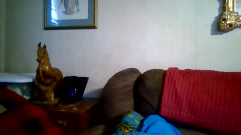 Vols online show from January 7, 9:28 pm