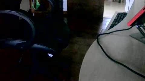 Tobiko online show from November 15, 3:30 pm